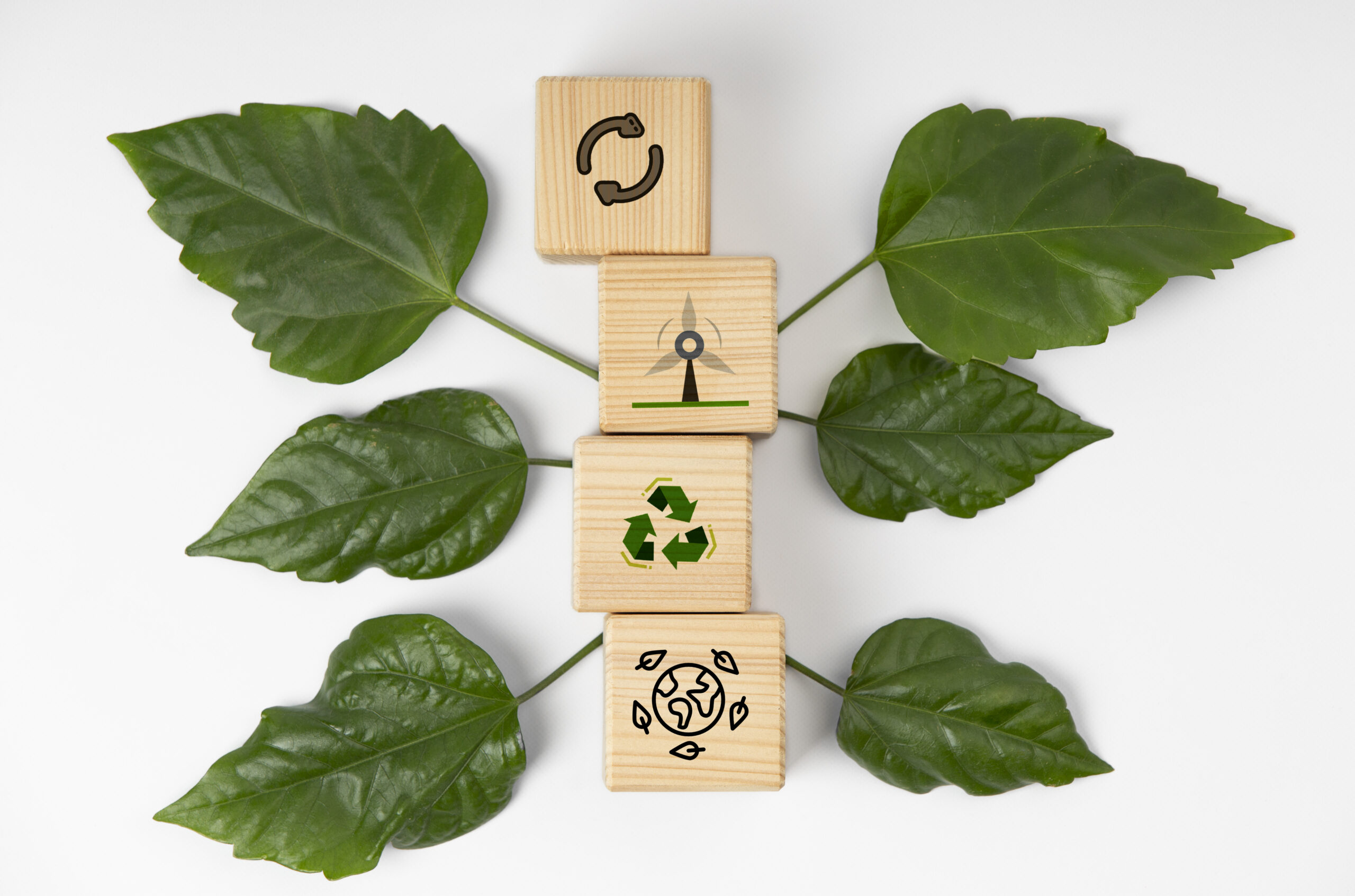 sustainable-development-goals-still-life
